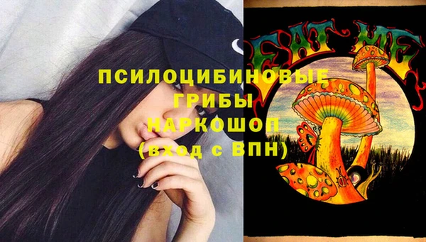 стаф Алексеевка