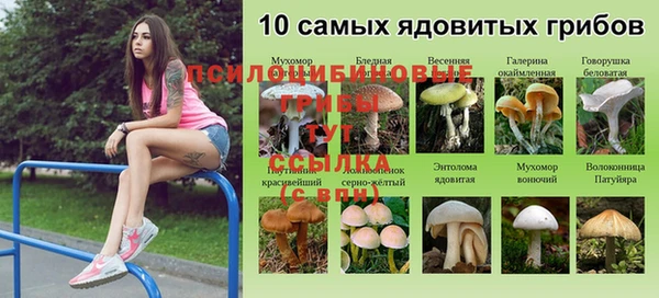 марки nbome Алзамай
