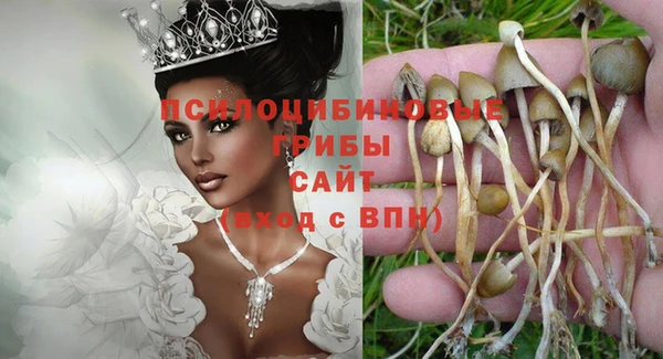 меф Алексин
