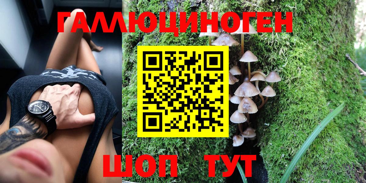 Псилоцибиновые грибы мицелий Узловая