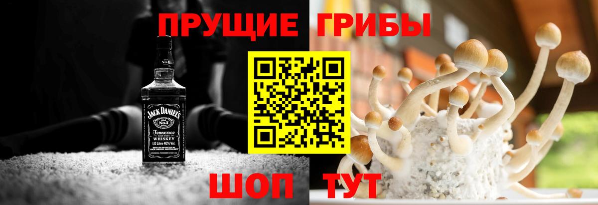 Псилоцибиновые грибы GOLDEN TEACHER  Вход с VPN  Галлюциногенные грибы прущие грибы  Узловая 