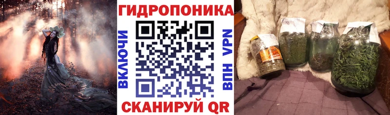 блэк спрут вход  Узловая  Каннабис SATIVA & INDICA 